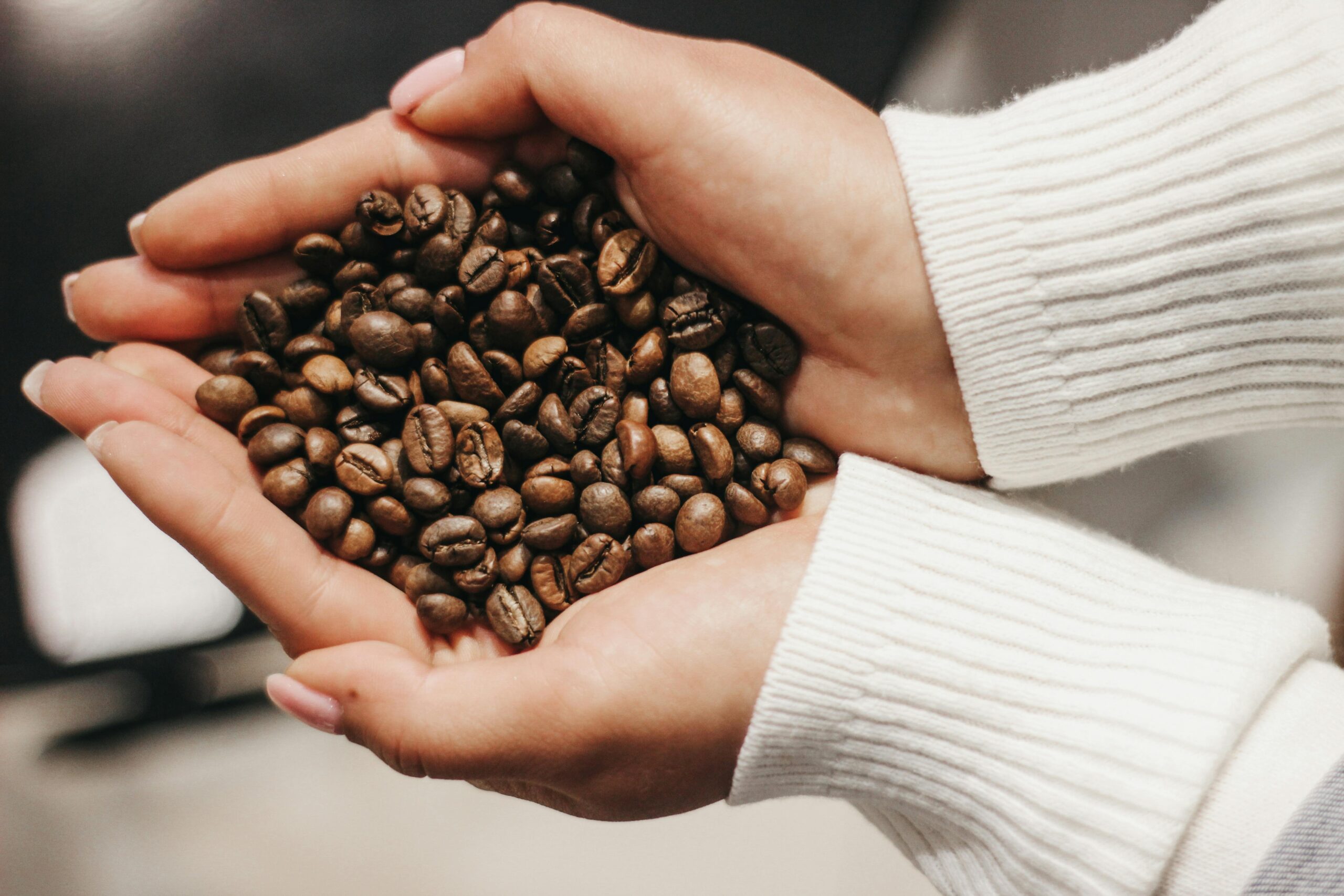 Meglio arabica o robusta